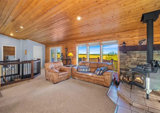 Homes for sale in Fairplay, CO | 169 Fen Ct, Fairplay, CO 80440 | MLS# 3561587