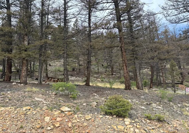 Homes for sale in Fairplay, CO | 225 Trout Creek Ln, Fairplay, CO 80440 | MLS# 7100885