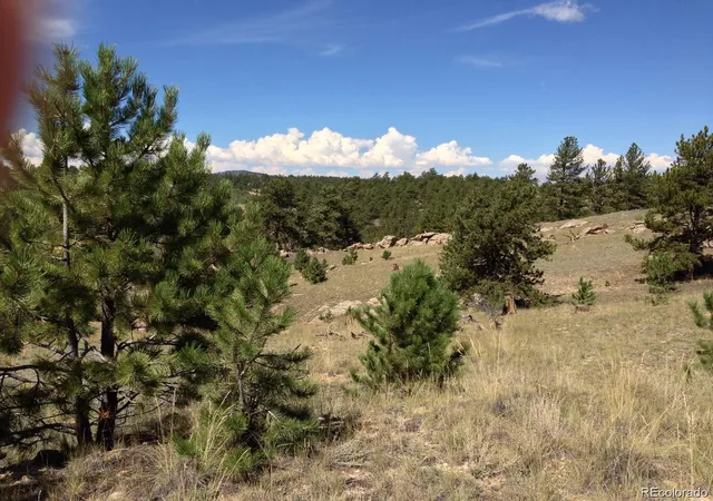 Photo 4 of Land for sale at 33 Jasper Way, Hartsel, CO 80449 | MLS# 6108383 | Listing updated on 2026-05-30