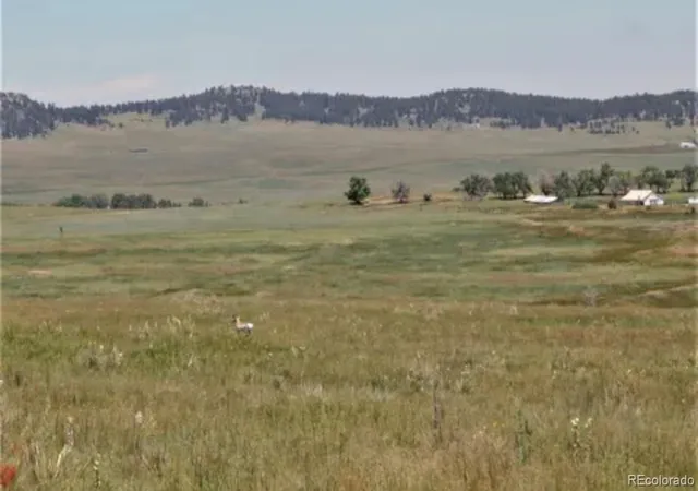 Homes for sale in Calhan, CO | Tract 9 Mcclellland Rd, Calhan, CO 80808 | MLS# 5951263