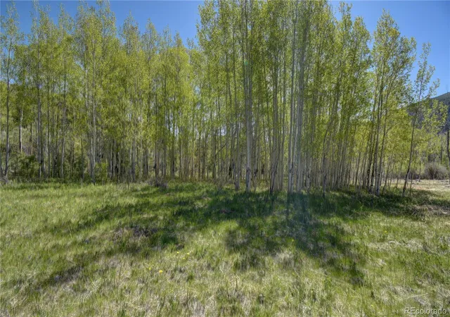 Photo 3 of Land for sale at 8525 County Rd 225, Salida, CO 81201 | MLS# 2598504 | Listing updated on 2026-07-06