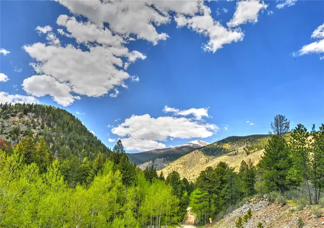 33rd image of 8525 County Road 225, Salida, CO 81201 | MLS# 2598504