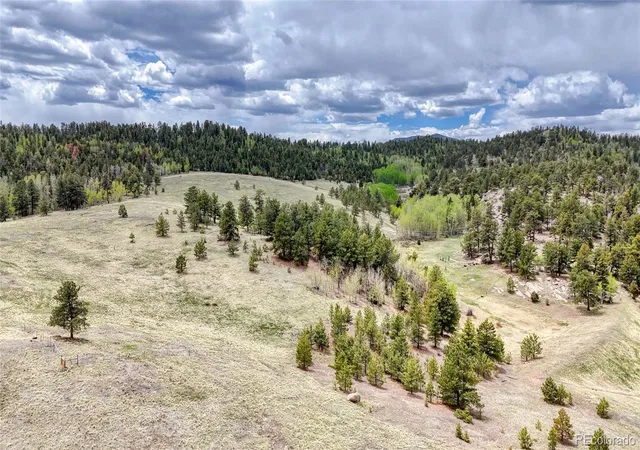 Homes for sale in Florissant, CO | Lot 007 County Road 403, Florissant, CO 80816 | MLS# 2588024