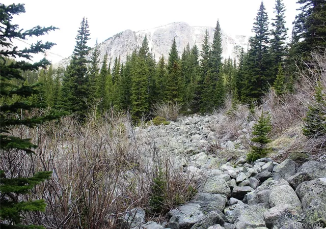 Homes for sale in Idaho Springs, CO | 00 Mine Rd, Idaho Springs, CO 80461 | MLS# 2826606