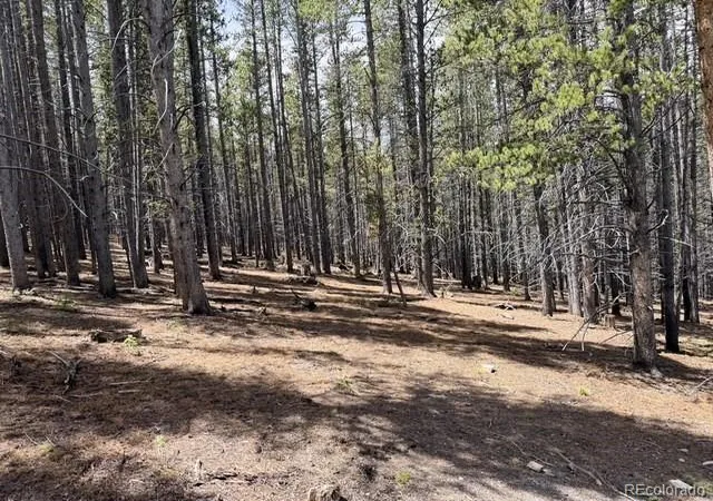 Photo 4 of Land for sale at 0064 Cr 534, Breckenridge, CO 80424 | MLS# 3935905 | Listing updated on 2026-08-03