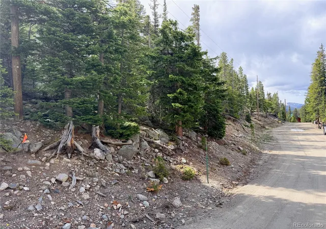Homes for sale in Idaho Springs, CO | 000 Brook Dr, Idaho Springs, CO 80452 | MLS# 3828675