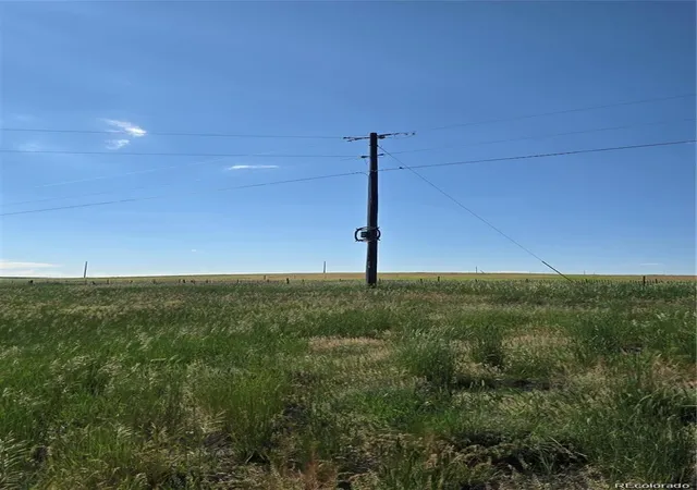 Homes for sale in Agate, CO | 37875 Hwy 86, Agate, CO 80101 | MLS# 7608229