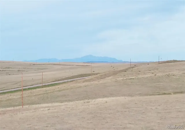 Homes for sale in Agate, CO | 37875 Hwy 86, Agate, CO 80101 | MLS# 7608229