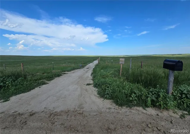 Homes for sale in Agate, CO | 29130 County Road 153, Agate, CO 80101 | MLS# 1930865
