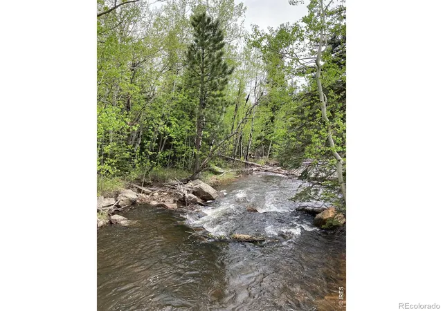 Photo 3 of Single family home for sale at 1064 Cold Springs Rd, Nederland, CO 80466 | MLS# IR1060060 | Listing updated on 2026-09-19