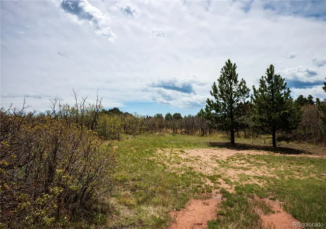 5th image of 6128 Columbine Ct, Larkspur, CO 80118 | MLS# 4074062