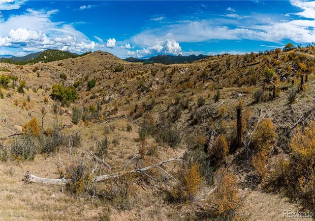 14th image of 701 Shannon Trl, Cotopaxi, CO 81223 | MLS# 6500428