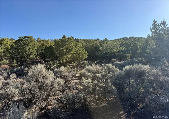 Homes for sale in Fort Garland, CO | Lot 7067 Waligunda Rd, Fort Garland, CO 81133 | MLS# 9455848