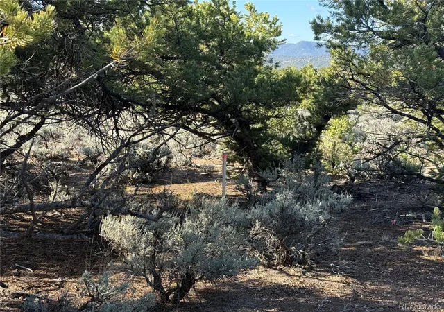 Homes for sale in Fort Garland, CO | Lot 7067 Waligunda Rd, Fort Garland, CO 81133 | MLS# 9455848