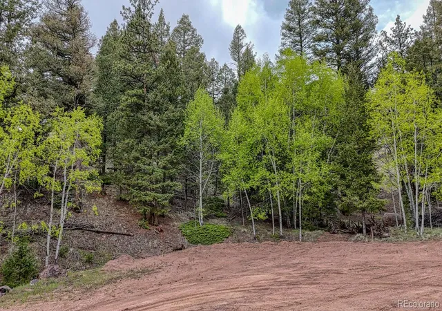 Homes for sale in Florissant, CO | 918 Pinon Ln, Florissant, CO 80816 | MLS# 9948773