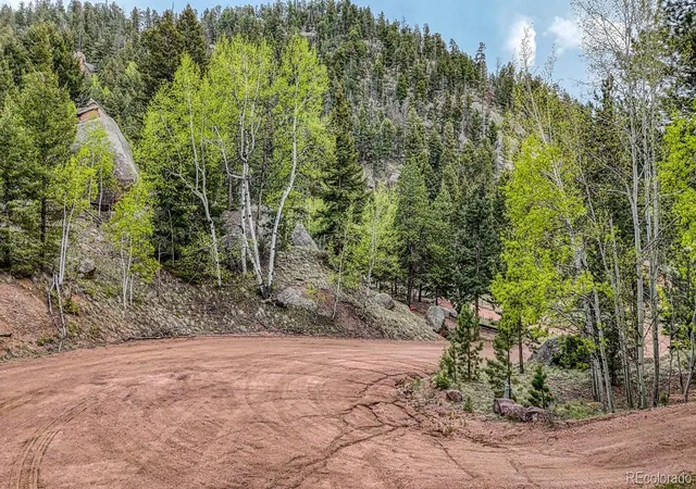Homes for sale in Florissant, CO | 918 Pinon Ln, Florissant, CO 80816 | MLS# 9948773