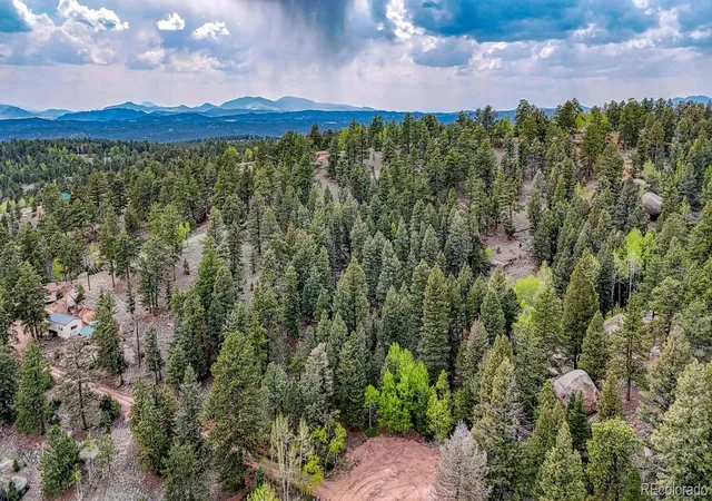 Homes for sale in Florissant, CO | 918 Pinon Ln, Florissant, CO 80816 | MLS# 9948773