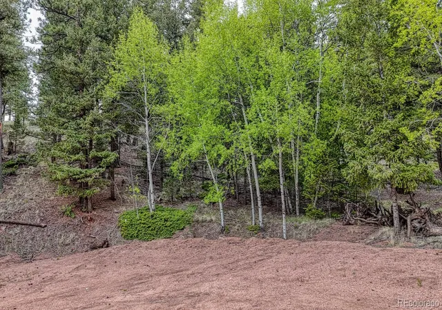 Homes for sale in Florissant, CO | 918 Pinon Ln, Florissant, CO 80816 | MLS# 9948773
