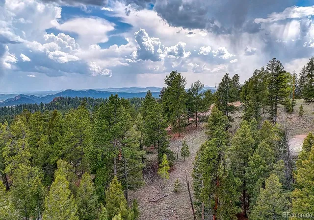 Homes for sale in Florissant, CO | 918 Pinon Ln, Florissant, CO 80816 | MLS# 9948773
