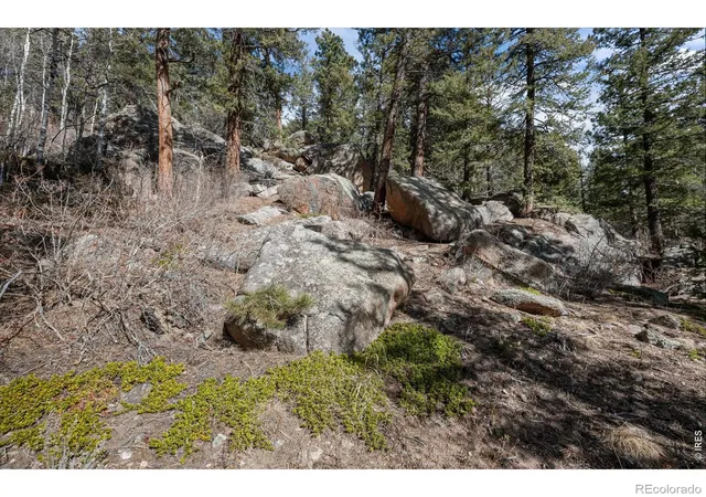 Homes for sale in Conifer, CO | 31468 Kings Vly W, Conifer, CO 80433 | MLS# IR1060243