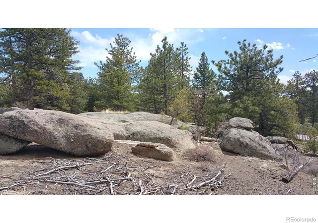 Homes for sale in Red Feather Lakes, CO | 2928 Fox Acres Dr E, Red Feather Lakes, CO 80545 | MLS# IR1060244
