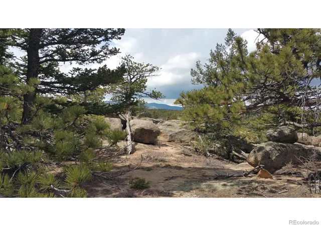 Homes for sale in Red Feather Lakes, CO | 2928 Fox Acres Dr E, Red Feather Lakes, CO 80545 | MLS# IR1060244