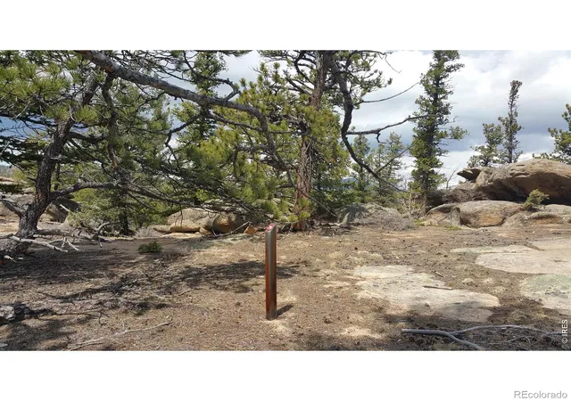 Homes for sale in Red Feather Lakes, CO | 2928 Fox Acres Dr E, Red Feather Lakes, CO 80545 | MLS# IR1060244
