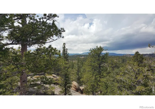 Homes for sale in Red Feather Lakes, CO | 2928 Fox Acres Dr E, Red Feather Lakes, CO 80545 | MLS# IR1060244