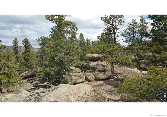 Homes for sale in Red Feather Lakes, CO | 2928 Fox Acres Dr E, Red Feather Lakes, CO 80545 | MLS# IR1060244