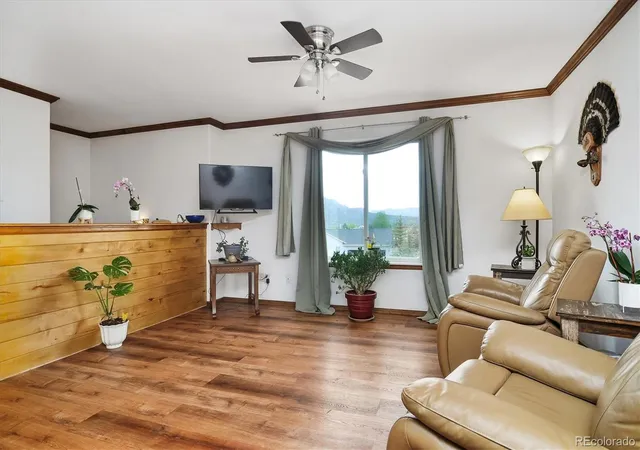 Homes for sale in Buena Vista, CO | 172 Larissa Ln, Buena Vista, CO 81211 | MLS# 6519619