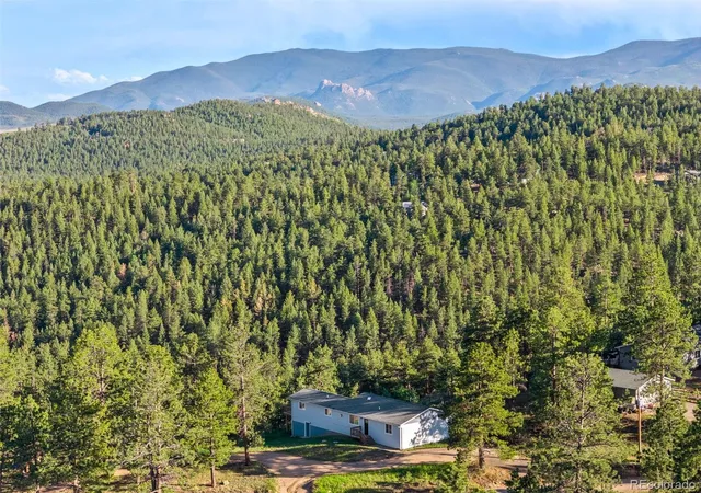 Homes for sale in Bailey, CO | 125 Sun Wy, Bailey, CO 80421 | MLS# 4424248