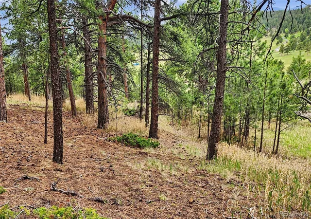 Photo 4 of Land for sale at 6078 Lone Peak Dr, Evergreen, CO 80439 | MLS# 4403399 | Listing updated on 2026-09-02