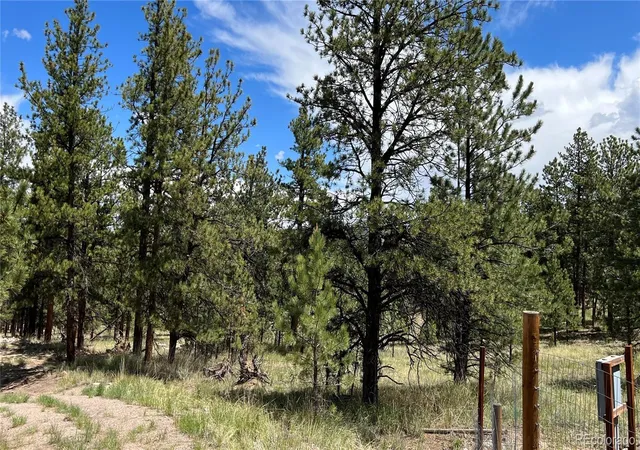 2nd image of 207 Little Bear Dr, Westcliffe, CO 81252 | MLS# 3653499