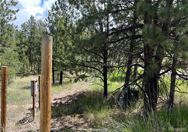 3rd image of 207 Little Bear Dr, Westcliffe, CO 81252 | MLS# 3653499