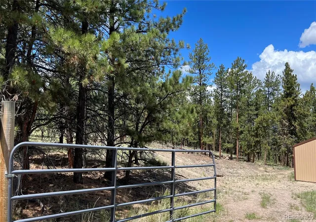4th image of 207 Little Bear Dr, Westcliffe, CO 81252 | MLS# 3653499