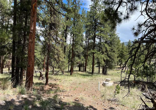 5th image of 207 Little Bear Dr, Westcliffe, CO 81252 | MLS# 3653499