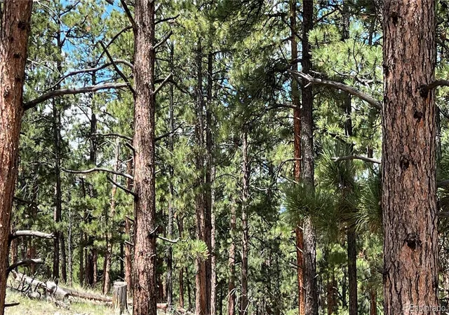 9th image of 207 Little Bear Dr, Westcliffe, CO 81252 | MLS# 3653499