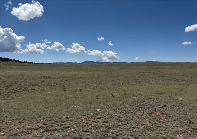 Homes for sale in Hartsel, CO | 1338 Chimapavi Trl, Hartsel, CO 80449 | MLS# 8522285