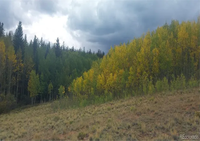 Land for sale at 562 Palmer Peak Dr, Fairplay, CO 80440 | MLS# 9650051