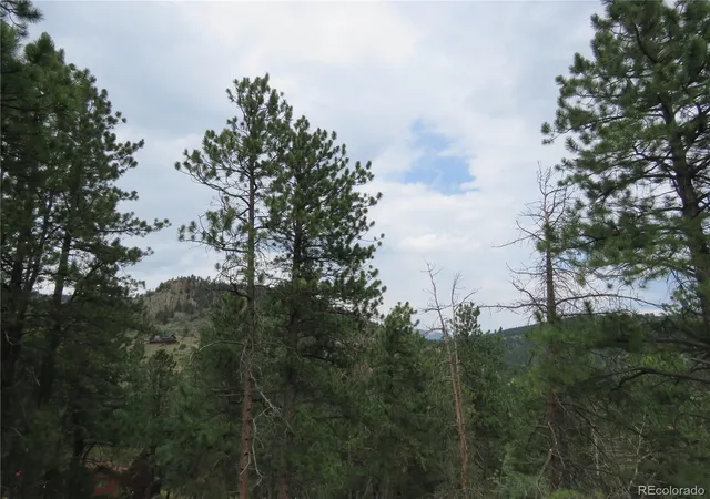 Photo 5 of Single family home for sale at 1899 Roland Dr, Bailey, CO 80421 | MLS# 7252304 | Listing updated on 2026-08-30