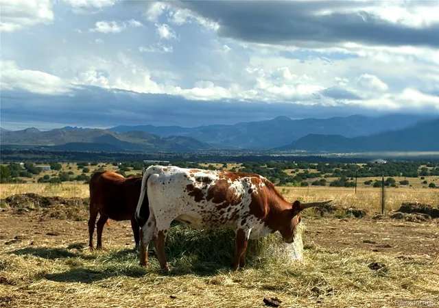 2nd image of 8650 State Hwy 67, Florence, CO 81226 | MLS# 3835225