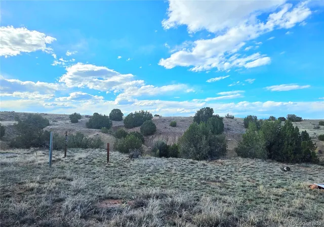 44th image of 8650 State Hwy 67, Florence, CO 81226 | MLS# 3835225