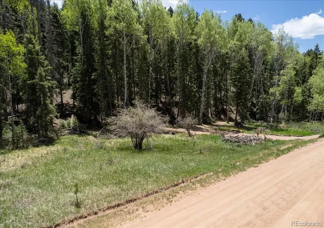 Homes for sale in Florissant, CO | 546 Spring Valley Ln, Florissant, CO 80816 | MLS# 8440740