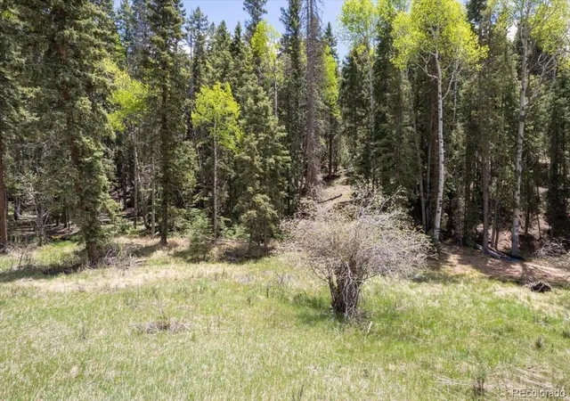 Homes for sale in Florissant, CO | 546 Spring Valley Ln, Florissant, CO 80816 | MLS# 8440740