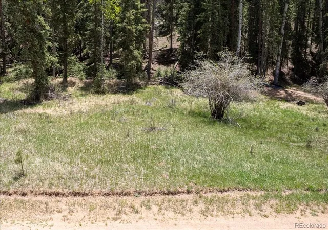 Homes for sale in Florissant, CO | 546 Spring Valley Ln, Florissant, CO 80816 | MLS# 8440740