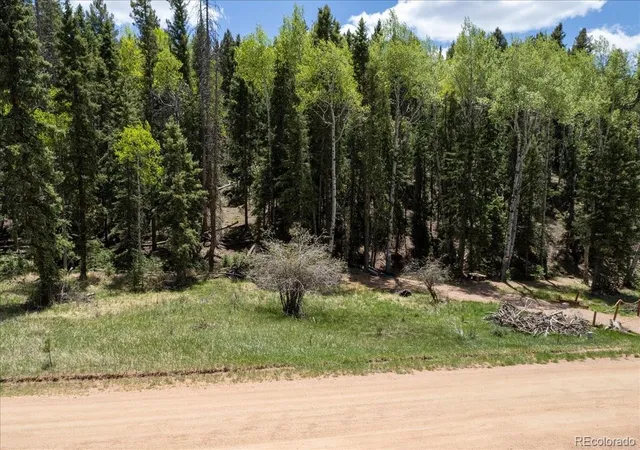 Homes for sale in Florissant, CO | 546 Spring Valley Ln, Florissant, CO 80816 | MLS# 8440740