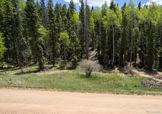 Homes for sale in Florissant, CO | 546 Spring Valley Ln, Florissant, CO 80816 | MLS# 8440740