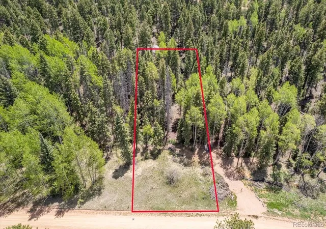 Homes for sale in Florissant, CO | 546 Spring Valley Ln, Florissant, CO 80816 | MLS# 8440740