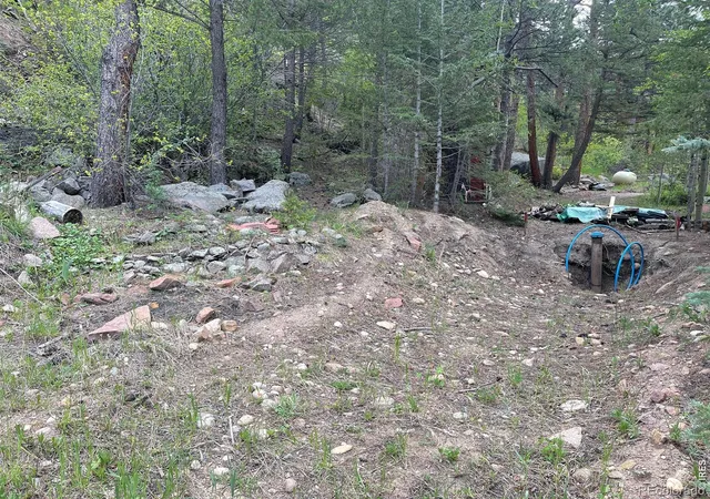 Homes for sale in Lyons, CO | 555 Riverside Dr, Lyons, CO 80540 | MLS# IR1060554