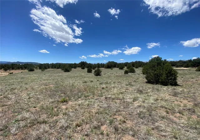 3rd image of 1638 20Th Trl, Cotopaxi, CO 81223 | MLS# 7419840